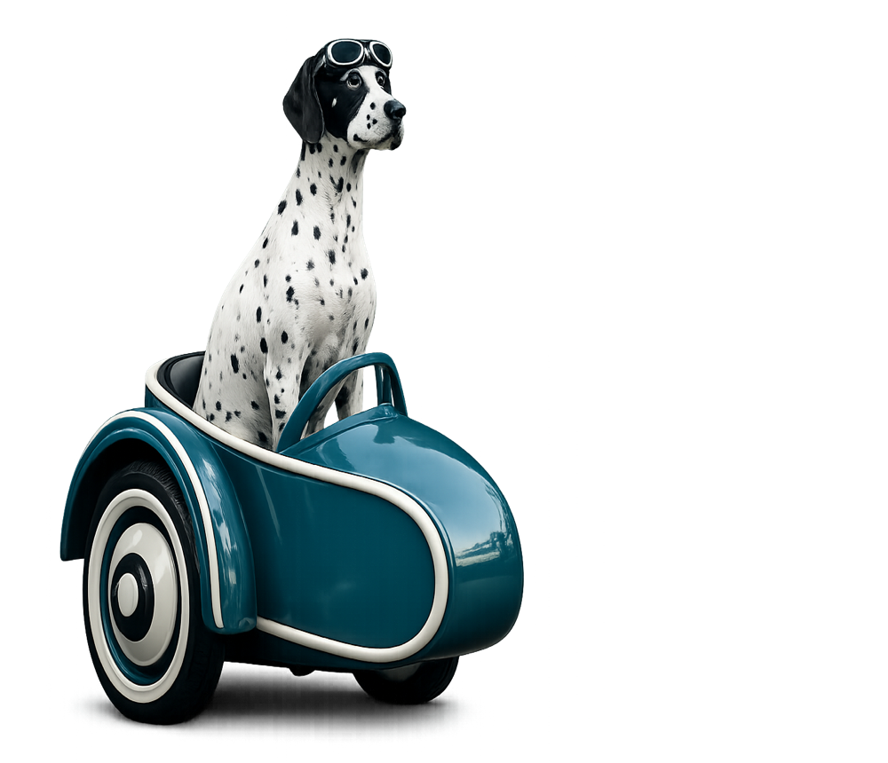Dalmatian in a sidecar